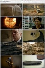 Watch Ancient  X-Files Freemovieswatch